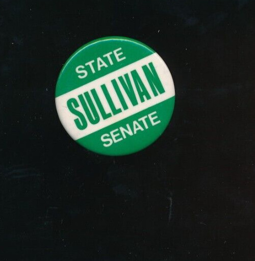 Political Pin State Senate Sean Sullivan  1" Rare Connecticut